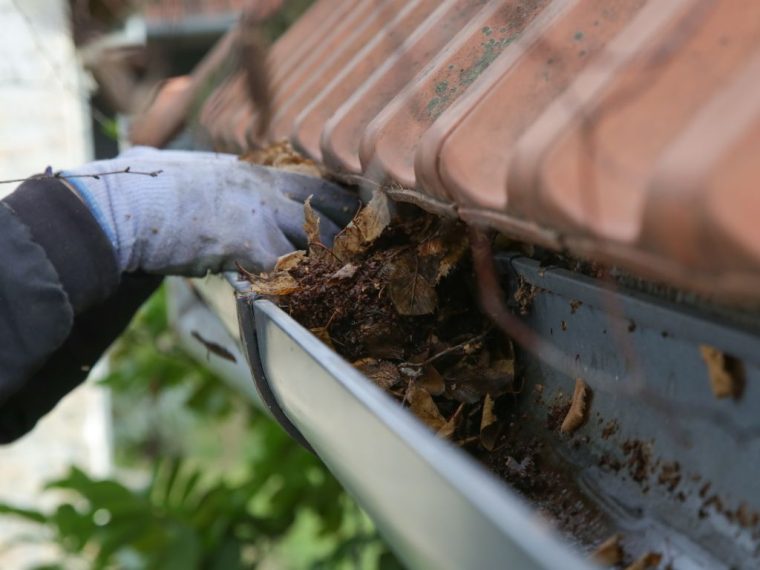 Staying Safe on the Job: PPE Best Practices for Gutter and Roofing Work